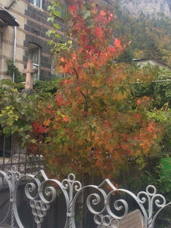 Old House Rustaveli Hotel Borjomi Ngoại thất bức ảnh